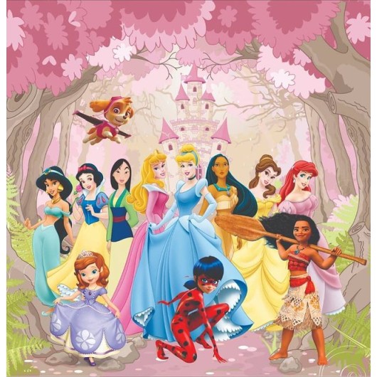 Conjunto Infantil Estampa Princesa Moana Disney