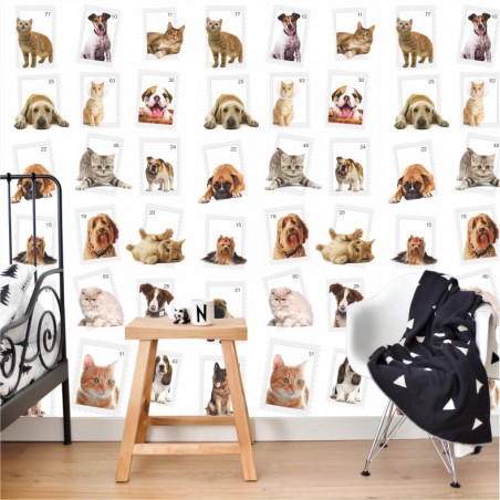 Adesivo Decorativo Porta Cachorros Pet Shop Dog Fofinhos