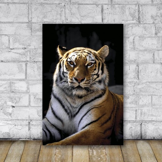 Quadro Tigre Imponente (2)